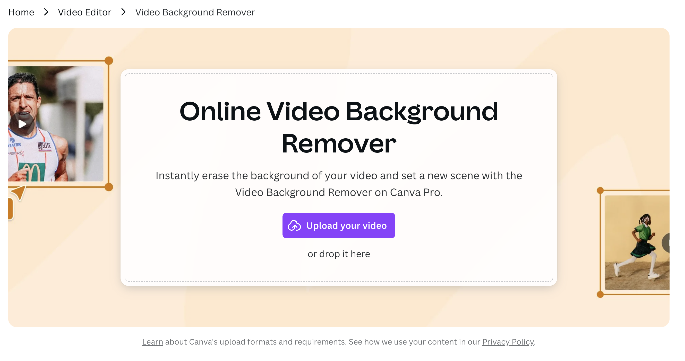 Canva remove video background
